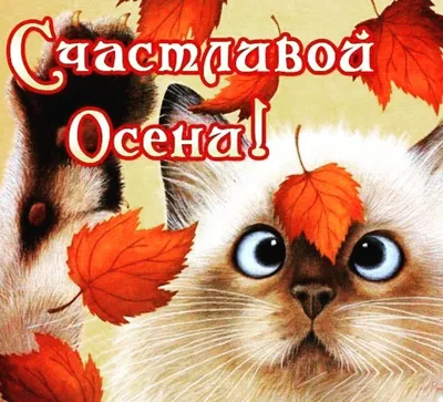 Подборка открыток и картинок с поздравлениями с первым днем осени - МК  Волгоград
