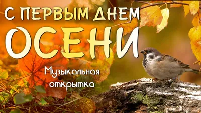 С ПЕРВЫМ ДНЁМ ОСЕНИ! ~ Открытка (плейкаст)