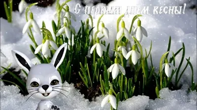 Открытка \"С первым днем Весны!\" - купить с доставкой в Омске - LAVANDA