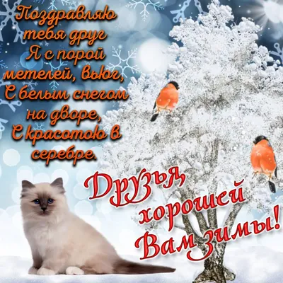 Поздравления с первым днем зимы - яркие открытки к событию — УНИАН