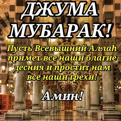 ТАТАРСКИЙ ЯЗЫК онлайн - -30% ДО 1 ДЕКАБРЯ ‼️Таких скидок больше никогда не  будет‼️ Только в честь 💚зелёной пятницы💚 вы можете круто сэкономить и  выучить татарский язык с персональным куратором. Успейте заговорить