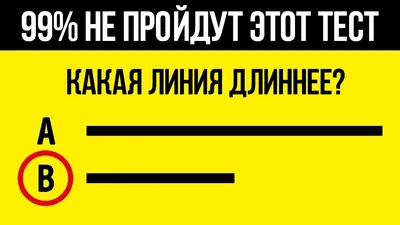 Загадки на логику — играть онлайн бесплатно на сервисе Яндекс Игры