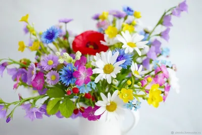 С днем рождения женщине полевые цветы и поздравление - фото и картинки  abrakadabra.fun