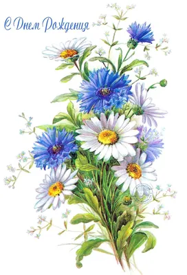 открытки с днем рождения женщине полевые цветы