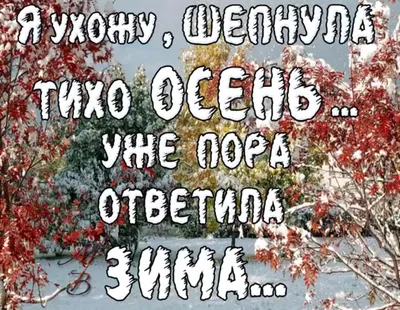 Последний день зимы 2022 – поздравления в прозе – открытки, картинки с последним  днем зимы - ZN.ua