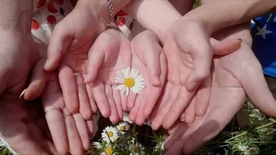 8 июля видеопоздравление с Днем семьи,любви и верности в социальных сетях  КДЦ «Космос» — Космос Новоалтайск