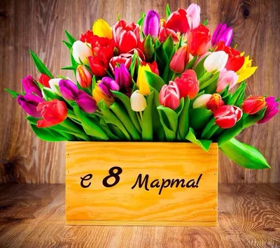 Поздравление с главным праздником весны - 8 Марта! » Официальный сайт ГУП  РК Крымавтотранс