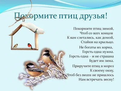 Покормите птиц зимой — 2018 - МАДОУ Детский сад №32 «Звёздная колыбель» г.  Липецка