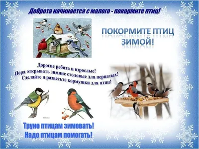 Стоит ли подкармливать птиц зимой? :: Петрозаводский государственный  университет
