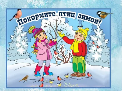 Птицам будем помогать нашу зиму зимовать! – девиз операции «Помоги  пернатому другу» - 2021 | Мероприятия | Городские воспитательные программы  | Педагогам | МБУ ДО ''Дворец пионеров и школьников г.Курска''