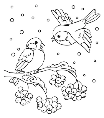 Эксперты рассказали, зачем подкармливать городских птиц зимой