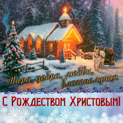 Поздравляем с Новым 2022 годом и наступающим Рождеством! – ИСПИ ФНИСЦ РАН