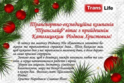 Модный Фасон on Instagram: \"Всех поздравляем с католическим Рождеством!❄🎄❄✨💜❤💜  Пусть в вашем дома будет тепло, уют, спокойствие и улыбки.🙂 С  праздником!!!! Ваш \"Модный фасон\"❤💜❤ #праздник #рождество #минск  #стокминск #modafasonminsk ...