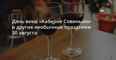 Необычные аксессуары для вина: какие бывают и для чего нужны? | MFshop.ru -  интересная интернет-торговля | Дзен