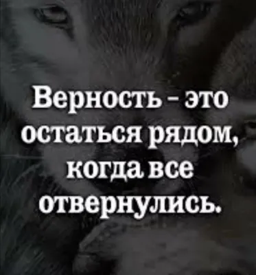 Два волка\" - притча индейцев чероки, полная ... | ОБО ВСЕМ | Фотострана |  Пост №2547386183