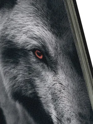 Чехол-книжка на Samsung Galaxy A24 c принтом \"Спокойный волк\" черный,  купить в Москве, цены в интернет-магазинах на Мегамаркет