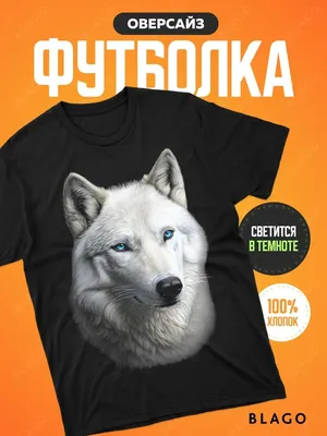 Чехол-книжка на Tecno Pova 4 c принтом \"Красноглазый волк\" черный, купить в  Москве, цены в интернет-магазинах на Мегамаркет