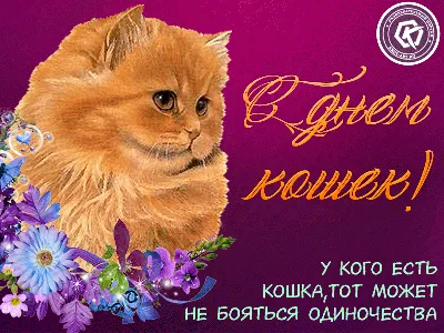 Animals - Поздравляем с Всемирным днем кошек!😸🎉 Пусть пушистые питомцы  всегда будут нам ласковыми друзьями, отрадой и успокоением🥰 Милые усатые  комочки несут в дом радость, счастье, приятные хлопоты😽 Пусть они всегда  будут