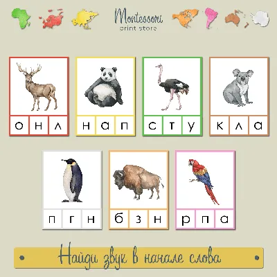 Первые слова. Животные, английский язык - детские книги Пегас