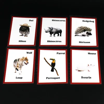 50 шт. различные марки с африканскими животными от слов, штампов с животными,  коллекции штампов, используются с почтовыми знаками | AliExpress