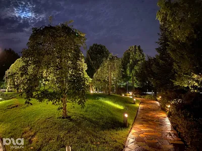 Профессиональное фото, ночной сад, …» — создано в Шедевруме