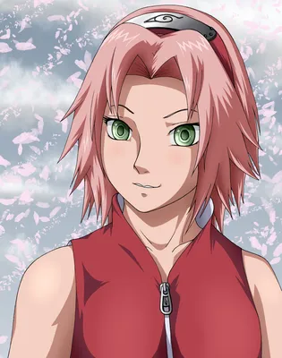 Some Pictures Sakura Haruno 2 | Sakura Haruno (Character) - Giant Bomb |  Anime, Sakura haruno, Sakura