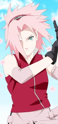 Sakura Haruno~°|Naruto Shippuden Anime icon | Картинки покемона,  Воительницы, Рисунки девушки