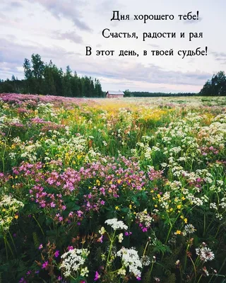 Поздравляю с днем рождения Счастья радости везения - GreetCard.ru