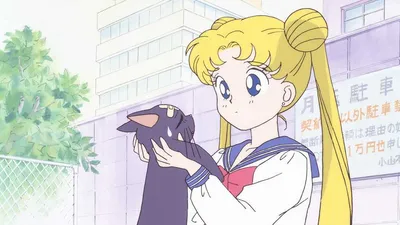 Celebrating Sailor Moon's 30th Anniversary : NPR