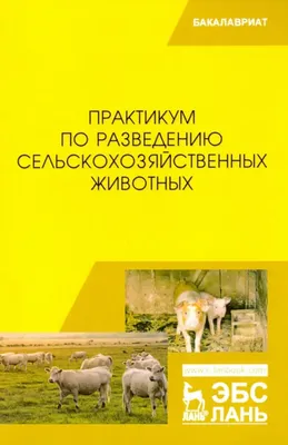 Правила выпаса сельскохозяйственных животных по Алматинской области