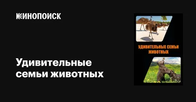 Семья животных на том основании Смешной шарж и сцена Иллюстрация штока -  иллюстрации насчитывающей сезон, место: 56397089