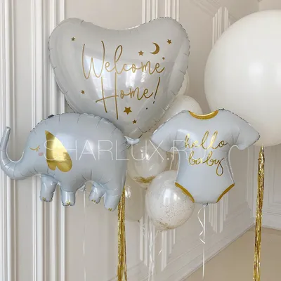 Воздушные шары набор Мишины шарики фотозона на праздник день рождения для  девочки 104 шт купить по цене 770 ₽ в интернет-магазине Детский мир