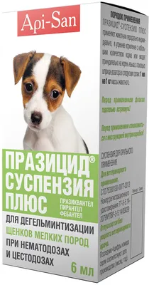 Как выглядит здоровый щенок 🐶- ProPlan.ru