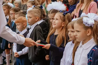 Минпросвещения пообещало торжественные линейки в школах 1 сентября — РБК