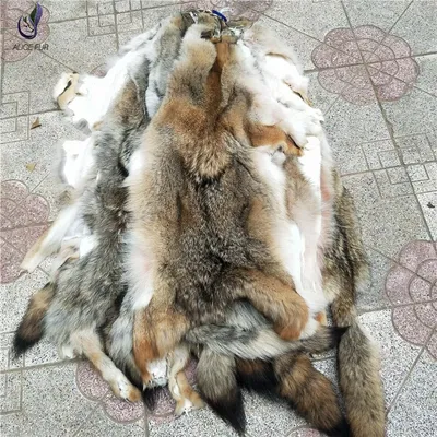 Настоящие шкуры животных, натуральные мягкие шкуры из койотового меха, шкуры  из дубленого койотового меха | AliExpress