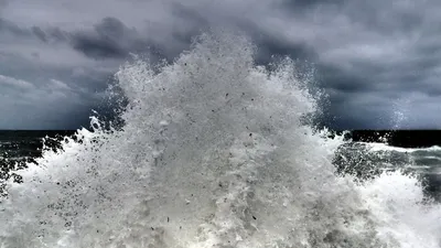 На побережье Азовского моря прогнозируют штормовой ветер. Жителям советуют  не выходить из дома