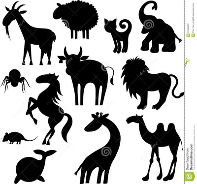 Силуэты животных иллюстрация вектора. иллюстрации насчитывающей кот -  22956489 | Силуэт животного, Силуэт, Животные