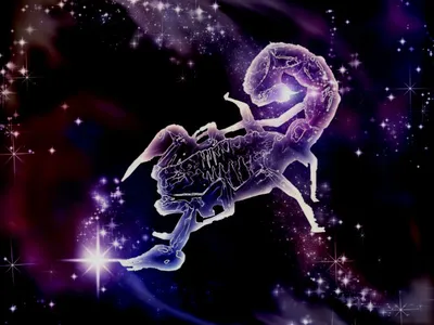Фото скорпиона стоковое изображение. изображение насчитывающей космофизики  - 47497667