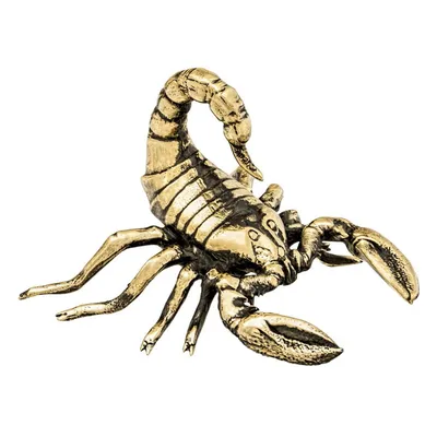 Скорпион (знак зодиака): характеристика, описание, особенности характера  мужчины, женщины и ребенка, совместимость