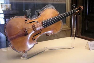 Всемирный день скрипки - Праздник
