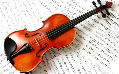 Приключения скрипки
