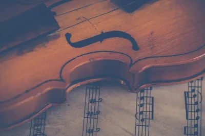 Мостик - подушка СКМ для скрипки | Музыкальный интернет-магазин «СКМ».