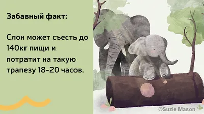 К чему снится слон | 7Дней.ru