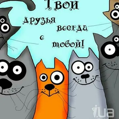 Смешные цены, магазин одежды, Шарикоподшипниковская ул., 11с5, Москва —  Яндекс Карты