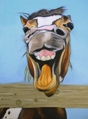 Смешные Лошади В Их Конюшне — стоковые фотографии и другие картинки Лошадь  - Лошадь, Юмор, Конюшня - iStock