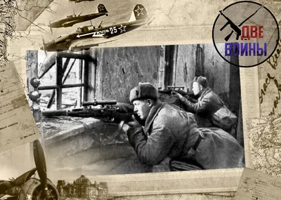 По простым солдатам мы даже не стреляли» - рассказ снайпера СССР о  тонкостях своей работы | Две Войны | Дзен