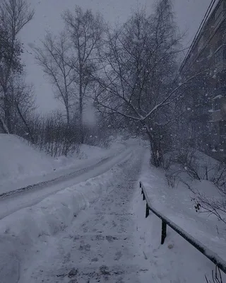 Картина Снег идёт, художник Вячеслав Чердаков