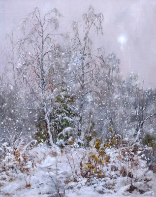 Обои на рабочий стол Снег идет в зимнем лесу, фотограф Николай Шахманцир,  обои для рабочего стола, скачать обои, обои бесплатно