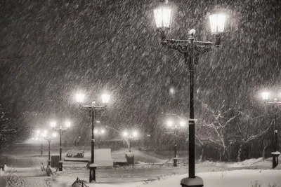 Ночной снегопад. — Фото №82901