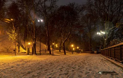 Ночной снегопад в парке 28 гвардейцев-панфиловцев ______ #снег #ночь #snow  #night #парк28 #алматы #almaty | Instagram